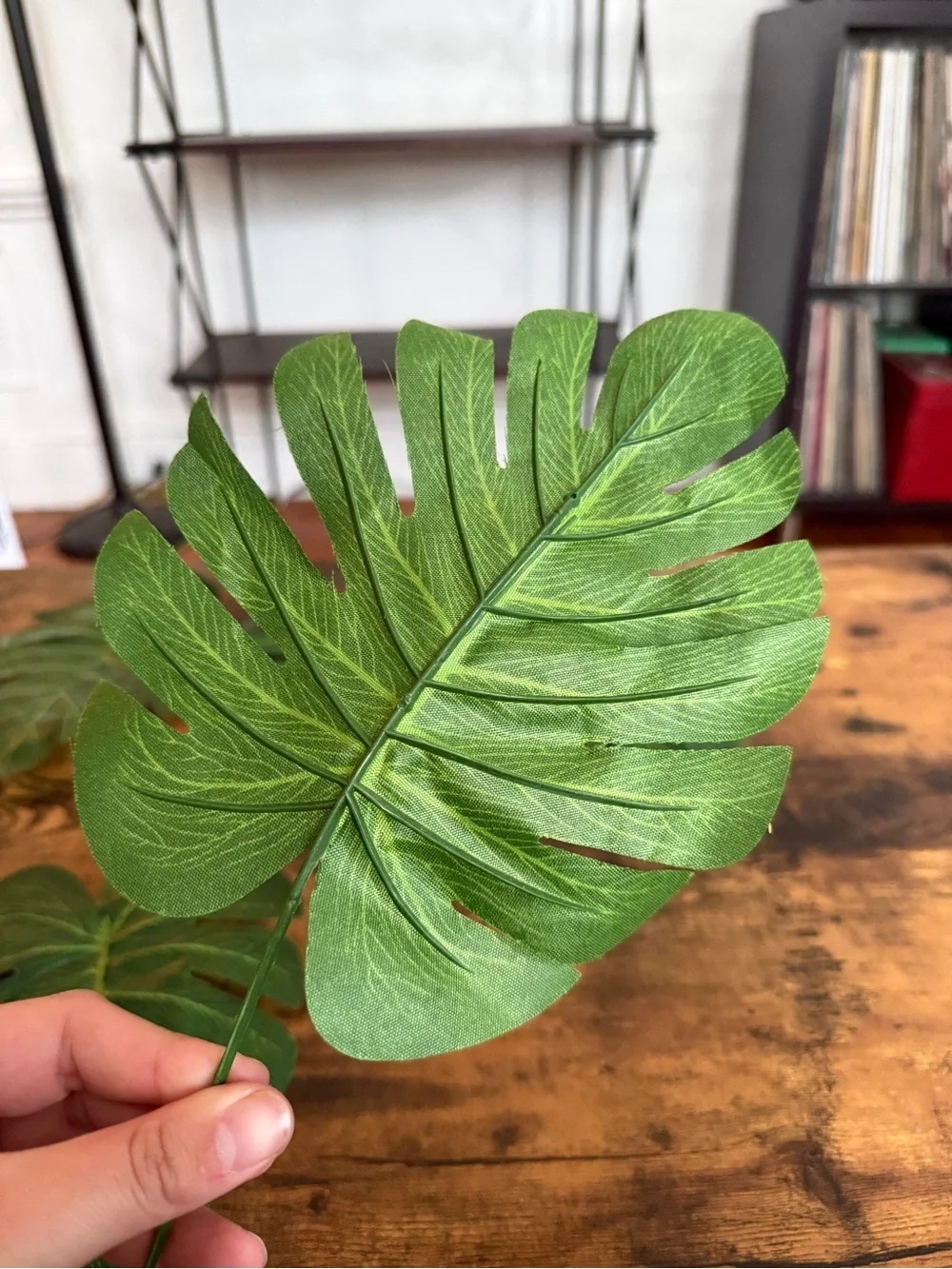 Set of 5 Faux Monstera Leaves - Green